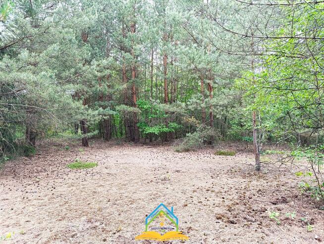 Działka rolna Krupia Wólka gm. Prażmów