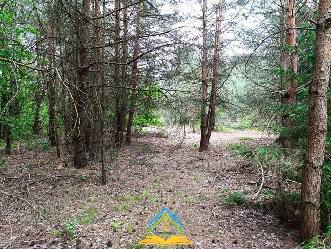 Działka rolna Krupia Wólka gm. Prażmów