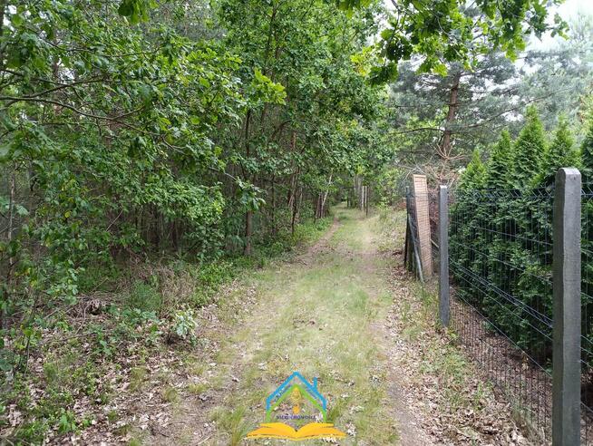 Działka rolna Krupia Wólka gm. Prażmów