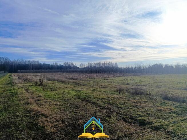 Działka budowlana Barcice Drwalewskie gm. Chynów