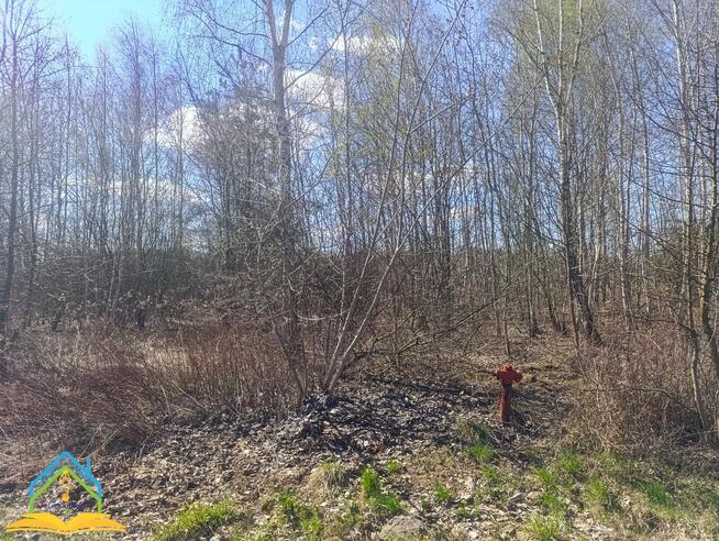 Działka budowlana Koryta gm. Prażmów