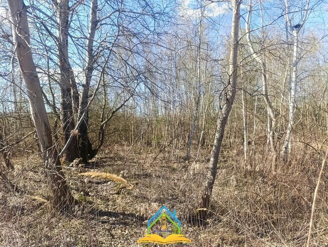 Działka budowlana Koryta gm. Prażmów