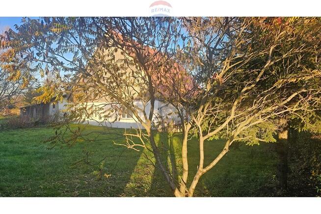 Krzeszów - działka inwestycyjna 2486 m2