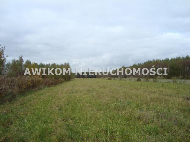 Działka Zawodne gm. Prażmów