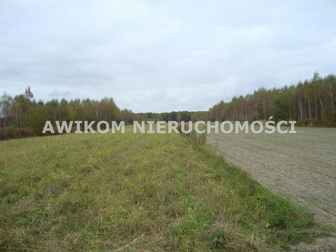 Działka Zawodne gm. Prażmów