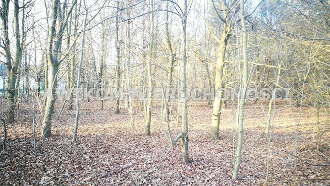 Działka Komorów gm. Michałowice