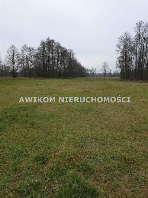 Działka siedliskowa Czosnów Brzozówka