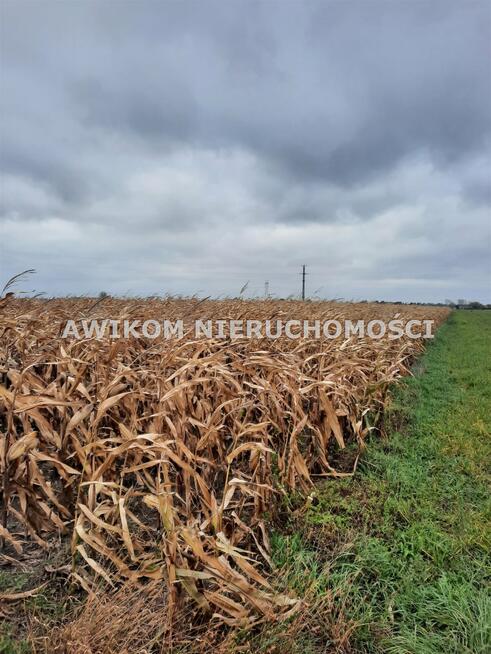 Działka siedliskowa Zazdrość gm. Radziejowice