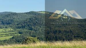 Działka leśna Łysa Góra gm. Nowy Żmigród