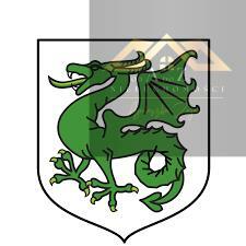 Działka leśna Łysa Góra gm. Nowy Żmigród