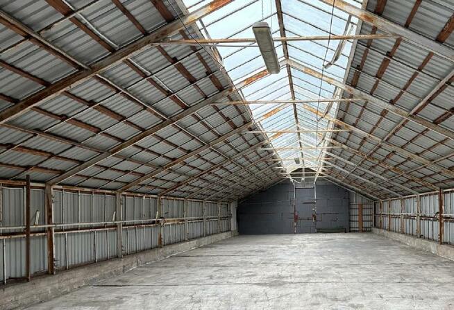 HALA MAGAZYNOWA - Sulejówek