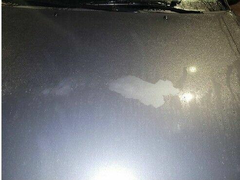 Ford Focus I sprzedaż syndyka