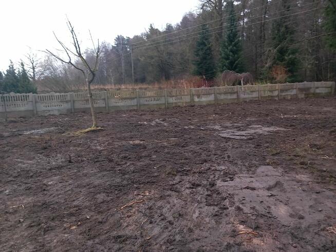 Usługi Rebakiem • Wycinka i Pielęgnacja Drzew • Czyszczenie