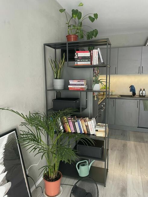 Wynajmę 2-pokojowe mieszkanie z ogródkiem – ul. Jasna 8