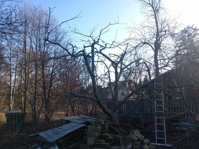 Usługi Rebakiem • Wycinka i Pielęgnacja Drzew • Czyszczenie