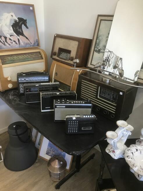 Loppis w Szwecji do kupienia w całości