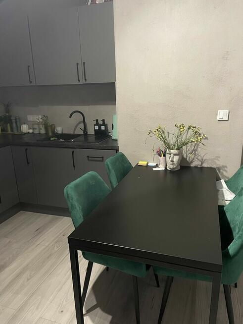 Wynajmę 2-pokojowe mieszkanie z ogródkiem – ul. Jasna 8