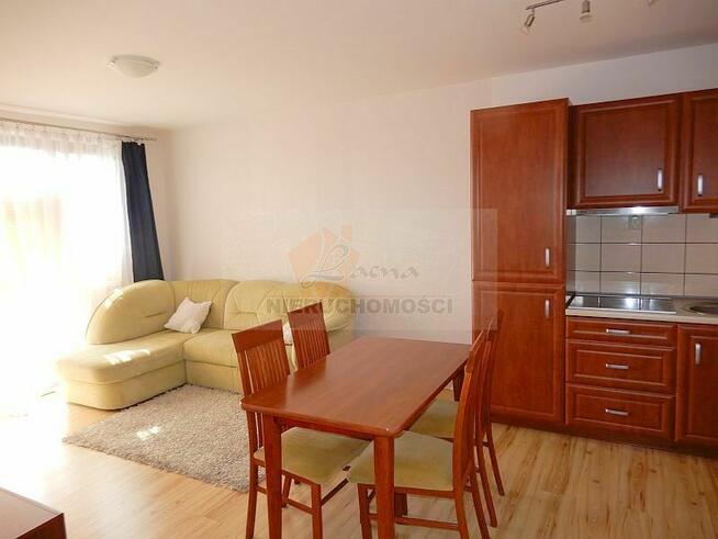 019MW Nowy Sącz os. Wólki, mieszkanie na wynajem, pow. 35,18