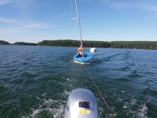 Bosman podejmie pracę