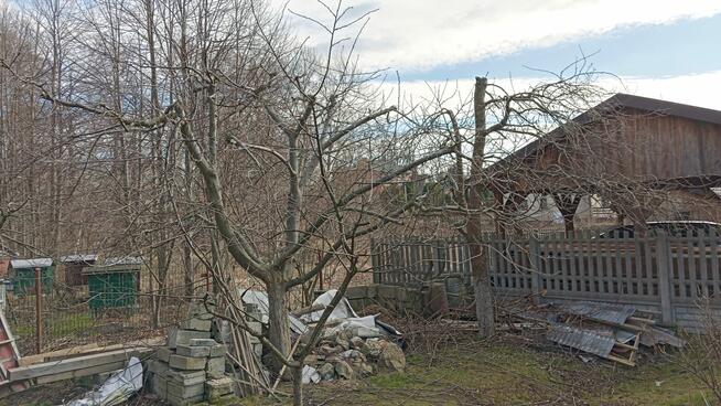 Usługi Rebakiem • Wycinka i Pielęgnacja Drzew • Czyszczenie