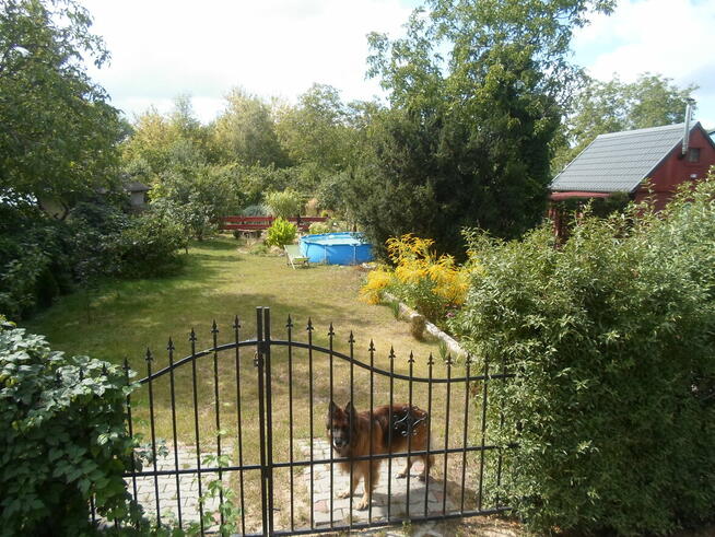 SPRZEDAM DZIAŁKĘ W ROD ,,WŁÓKNIARZ,,