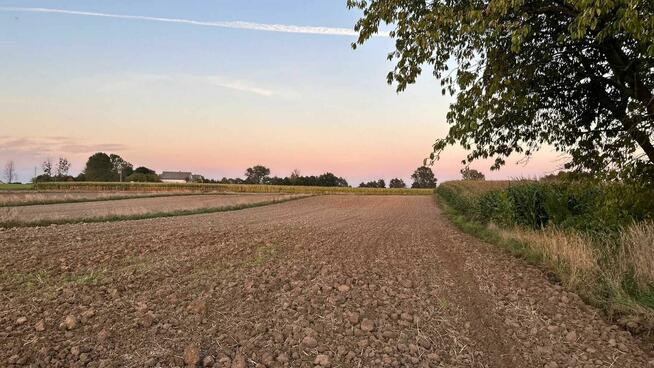 Dom do remontu blisko jeziora