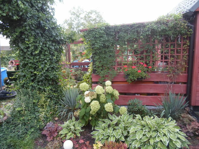 SPRZEDAM DZIAŁKĘ W ROD ,,WŁÓKNIARZ,,