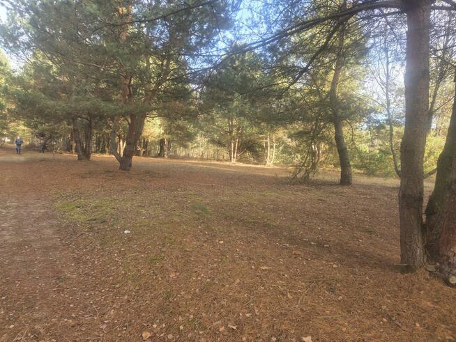 Działka budowlana Górki gm. Dębe Wielkie, Żwirowa