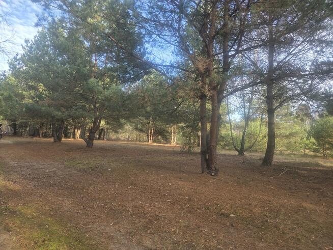 Działka budowlana Górki gm. Dębe Wielkie, Żwirowa