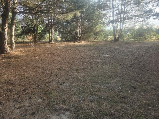 Działka budowlana Górki gm. Dębe Wielkie, Żwirowa