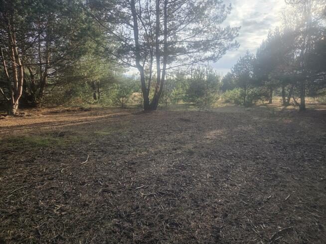 Działka budowlana Górki gm. Dębe Wielkie, Żwirowa