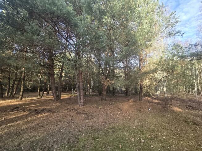 Działka budowlana Górki gm. Dębe Wielkie, Żwirowa