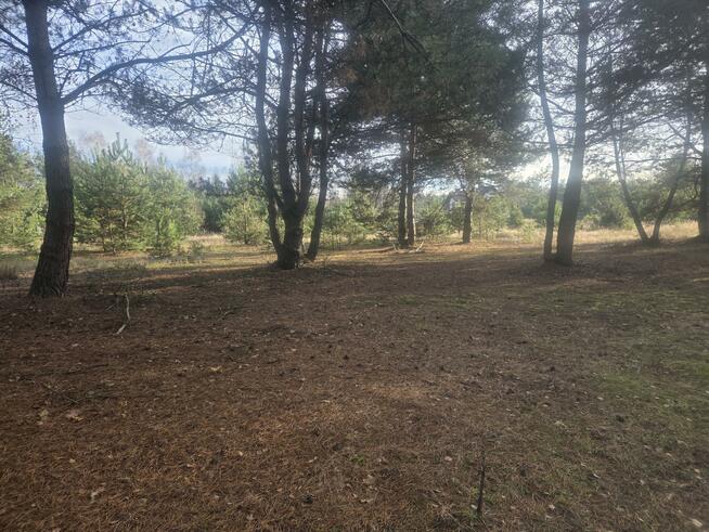 Działka budowlana Górki gm. Dębe Wielkie, Żwirowa