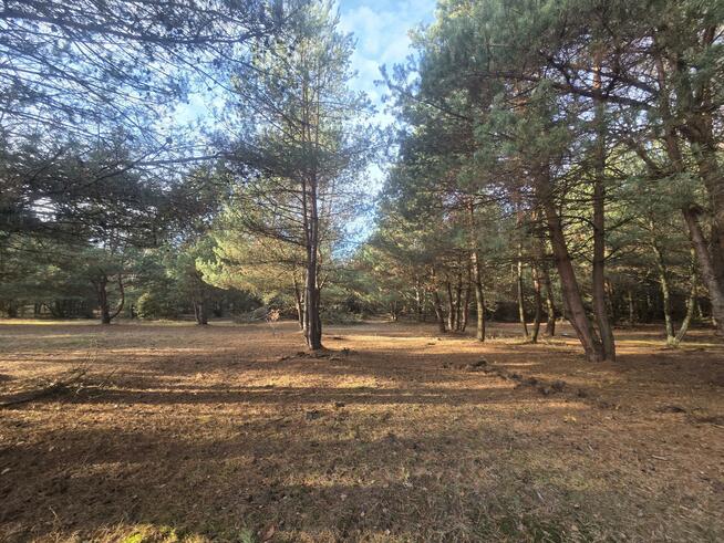 Działka budowlana Górki gm. Dębe Wielkie, Żwirowa