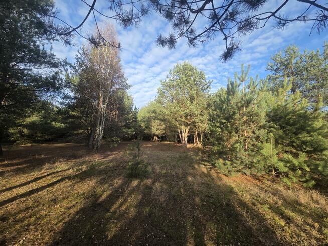 Działka budowlana Górki gm. Dębe Wielkie, Żwirowa