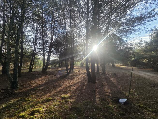 Działka budowlana Górki gm. Dębe Wielkie, Żwirowa