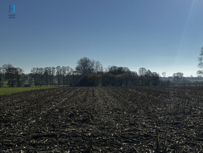 Działka siedliskowa Kolonia Łaznów gm. Rokiciny,