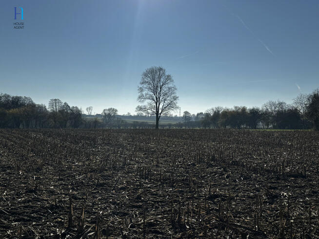 Działka siedliskowa Kolonia Łaznów gm. Rokiciny,