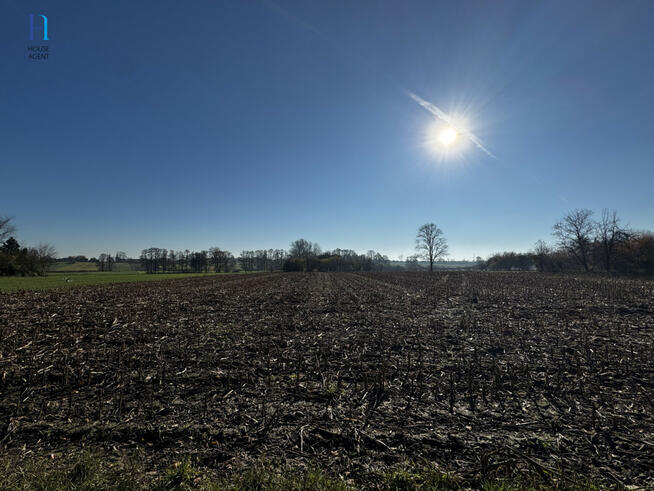 Działka siedliskowa Kolonia Łaznów gm. Rokiciny,