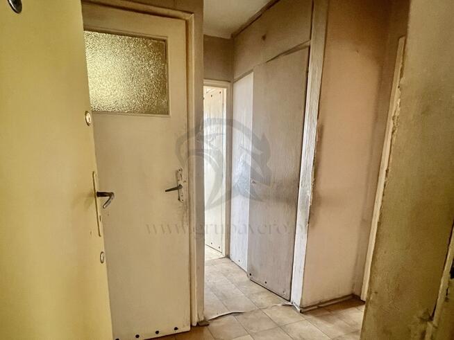 Z głową w chmurach - przygoda na Wileńskiej