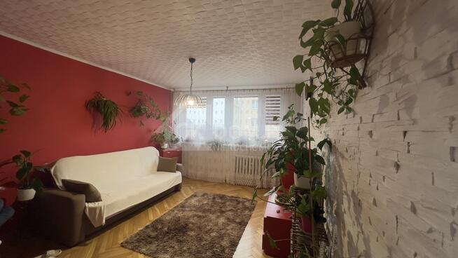 Na sprzedaż mieszkanie 3-stronne-51,3 m² – Staszów