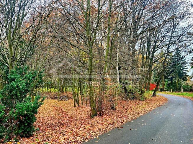 Działka rolna Konopnica, Konopnica