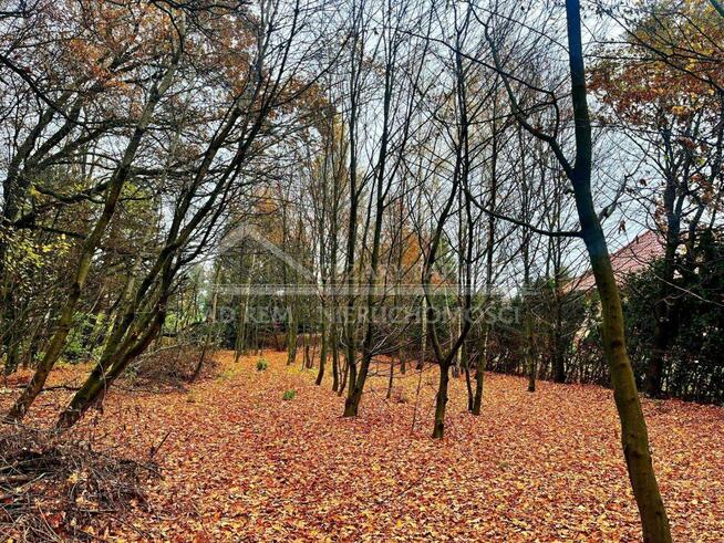 Działka rekreacyjna Konopnica, Konopnica