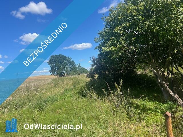 Syndyk sprzeda udział w wysokości 1/4, Kłodowo, działki nr 70/1, 70/2, 69/1, 71/1, 71/2, 72/1, 72/