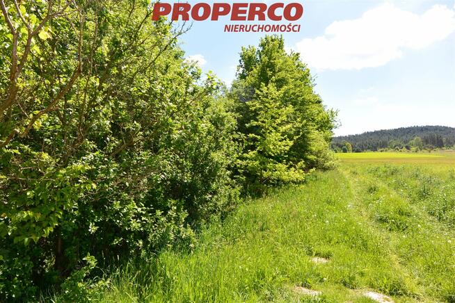 Działka Dyminy gm. Morawica