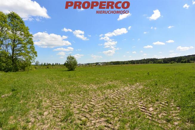 Działka Dyminy gm. Morawica