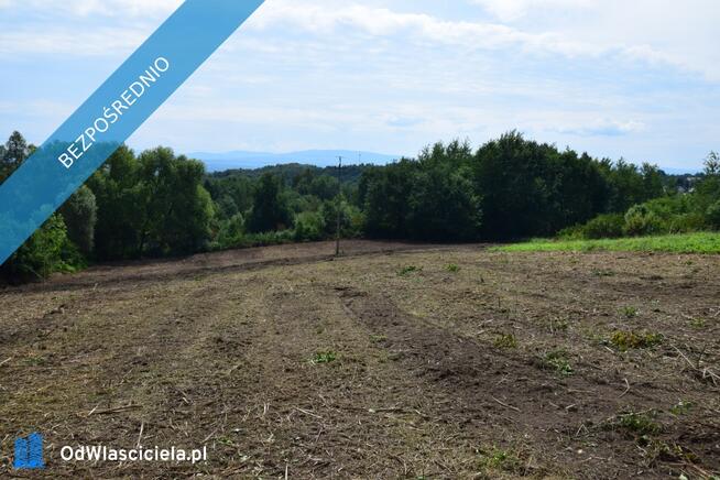 Raciborsko/ Wieliczka, prywatnie,19a ( oraz13 i 14a) południowy stok , cena 11,5tys/ ar