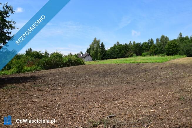 Raciborsko/ Wieliczka, prywatnie,19a ( oraz13 i 14a) południowy stok , cena 11,5tys/ ar