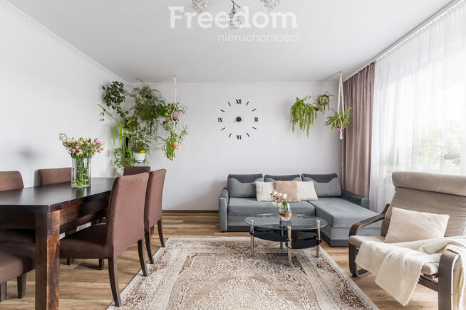 Wołomin, Mazowieckie, ul. Mieszka I