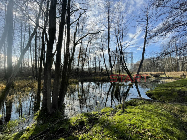 Dom Korabiewice gm. Puszcza Mariańska,